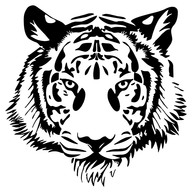 G217 20*20CM POWERFUL TIGER HE - Motorcycle Gear Up 评论和价格